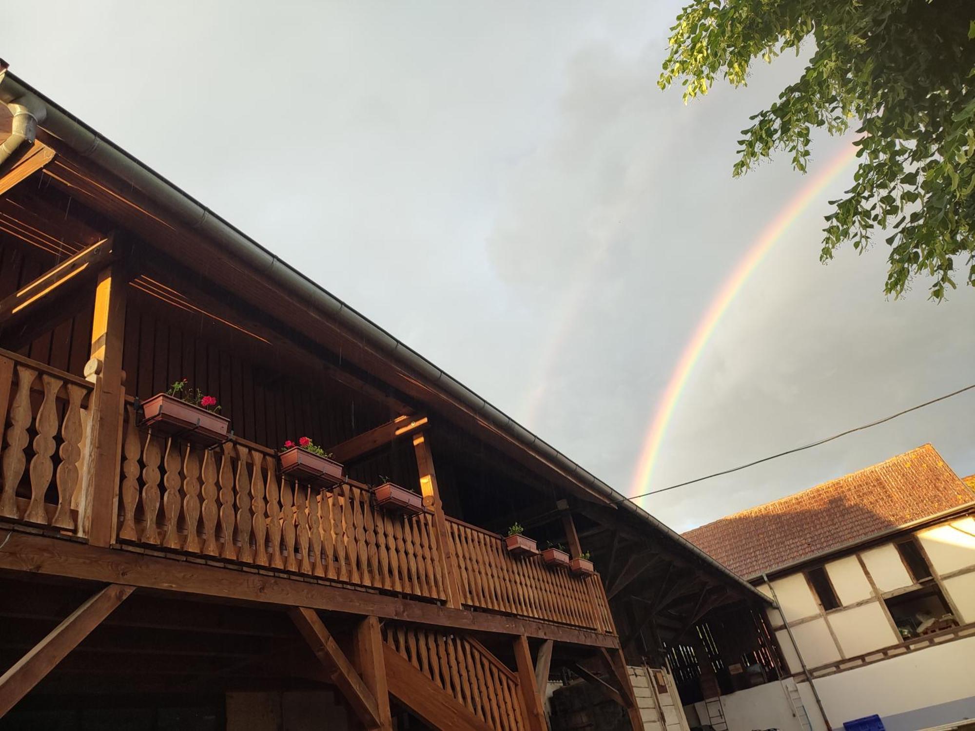 Chez Marguerite Gites A La Ferme オルブール＝ヴィール エクステリア 写真