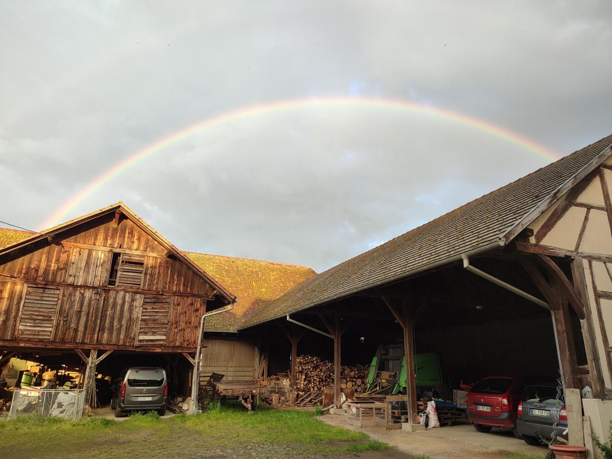 Chez Marguerite Gites A La Ferme オルブール＝ヴィール エクステリア 写真